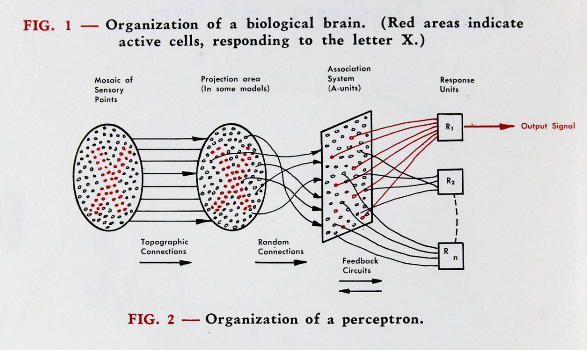 The original perceptron from Frank Rosenblatt.